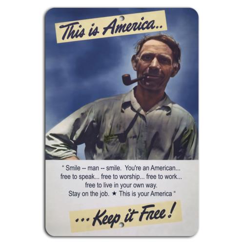 

Keep America Free Celebrate Freedom and IndividualityAluminumtin sign 20x30cm（7.8x11.8inch）
