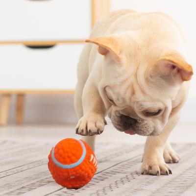 Welpen Zahnungs-Soundball Interaktives Hundespielzeug Latex Rugby Serie Langeweile Abhilfe Zahnreinigung Indoor Outdoor Spiel Hundespielzeug Haustierbedarf