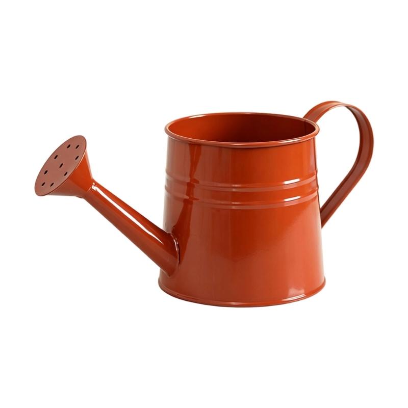 Indoor Watering Can With Long Angled Neck, Metal Watering Pot With Sprinkle Rose for Herb Pots and Small Garden Container Use Indoors
