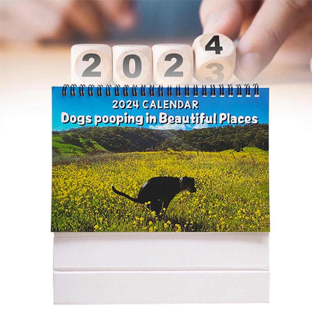 

2024 Calendar Dogs Pooping in Beautiful Places Humor Gift Prank Calendar
