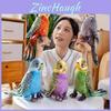 Cute And Soft Plush Parrot Doll Colorful Stuffed Animal Ideal For Children