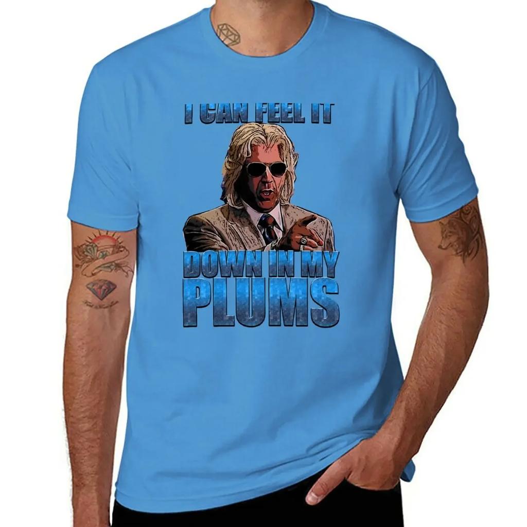 cute tops customized t shirts t shirts casual stylish i can feel it in my plums T-Shirt clothing harajuku graphic