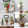 25cm Christmas Decoration Mini Christmas Tree Ornament For Desktop Window Display
