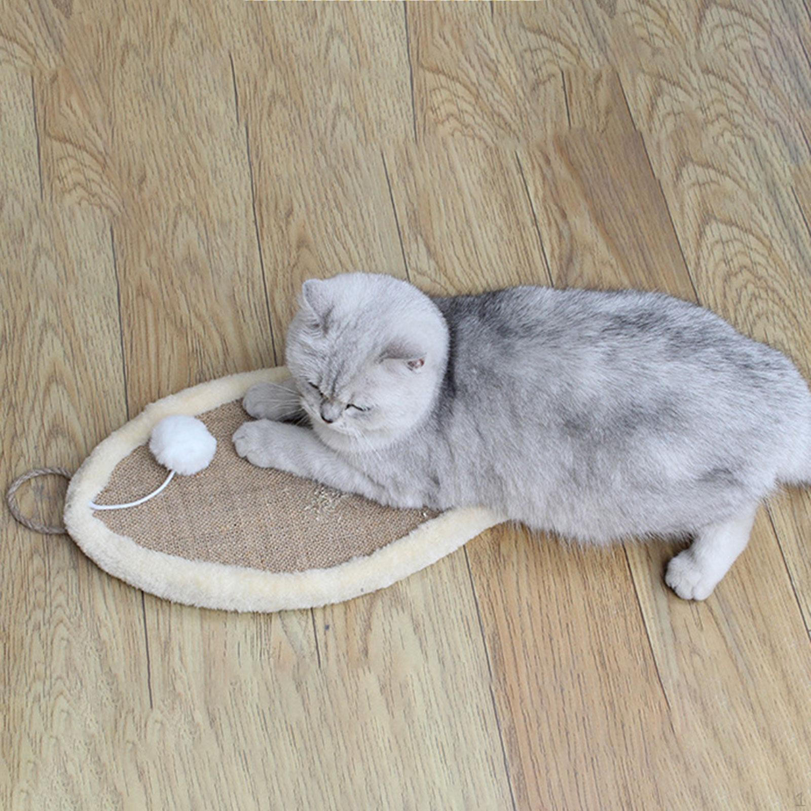 

Scratcher Wall Board Sisal Cat Ball Mat Wear-resistant Toy for Fish