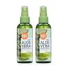 FRUIT OF THE EARTH Aloe Vera Moisture Real Mist, 2pcs Set, 100ml