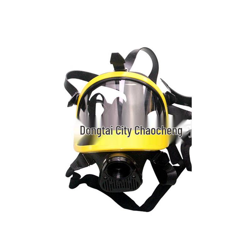 Yun Zhishun 6800 Full Face Respirator Mask One Size