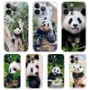 Fubao Panda Phone Case For iPhone 15 14 13 12 Mini 11 Pro Max XS X XR 7 8 Plus Clear Shockproof Silicone TPU Cover