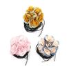 Fabric Floral Necklace Handcrafted Cloth Flower Waist Chain Adjustable Lace-up Choker Y2K Style Necklace Accessory Girl