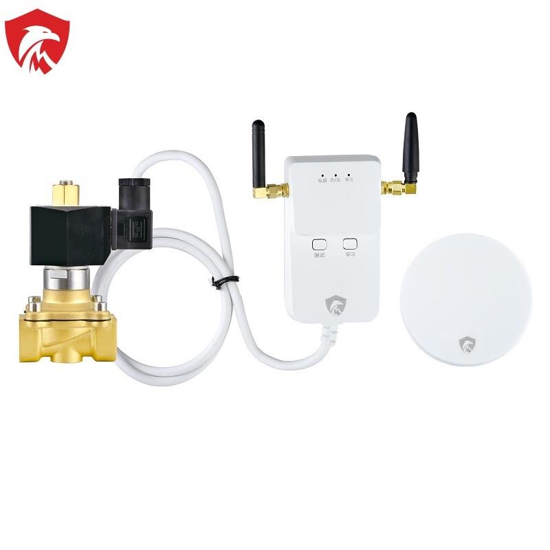 Умный Wi-Fi детектор протечки воды Jiazhi an