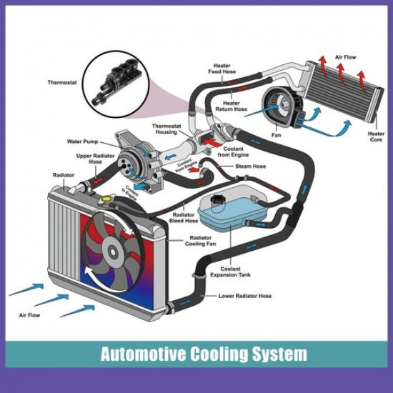 Engine Coolant Thermostat Housing Assembly Single  for BMW 525i 2004-2009