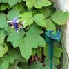 1PC Solar Fluttering Hummingbird Creative Simulation Auto Flying Hummingbird Artificial Feather Random Color Garden Ornaments