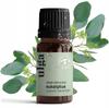 Olejek Eteryczny EUKALIPTUS Naturalny 100 % Czysty ULGA 10 Ml EUKALIPTUSOWY