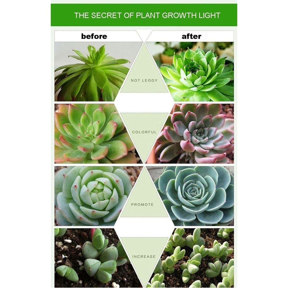 Fruits For Plants LED Growing Plant Grow Lamp Greenhouse Bulb Grow Light Phyto Lamp Plant Lamp