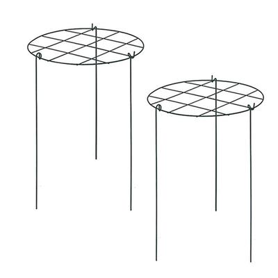 Bon support pour pivoines, Cage de support pour pivoines, Support pour plantes Support pour plantes de croissance Convient pour les roses, les tomates, les orchidées