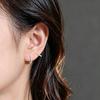 Earrings Women's Niche Design Wind Earrings Personalized Simple and Versatile Earrings