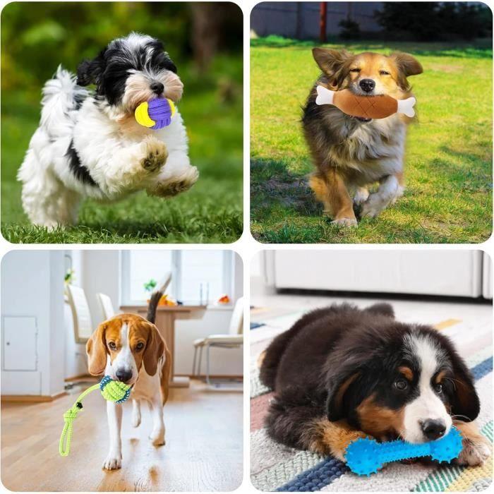 Ensemble De Jouets Pour Chiens - HEPAZ - 19 Jouets - Lavable - Durable