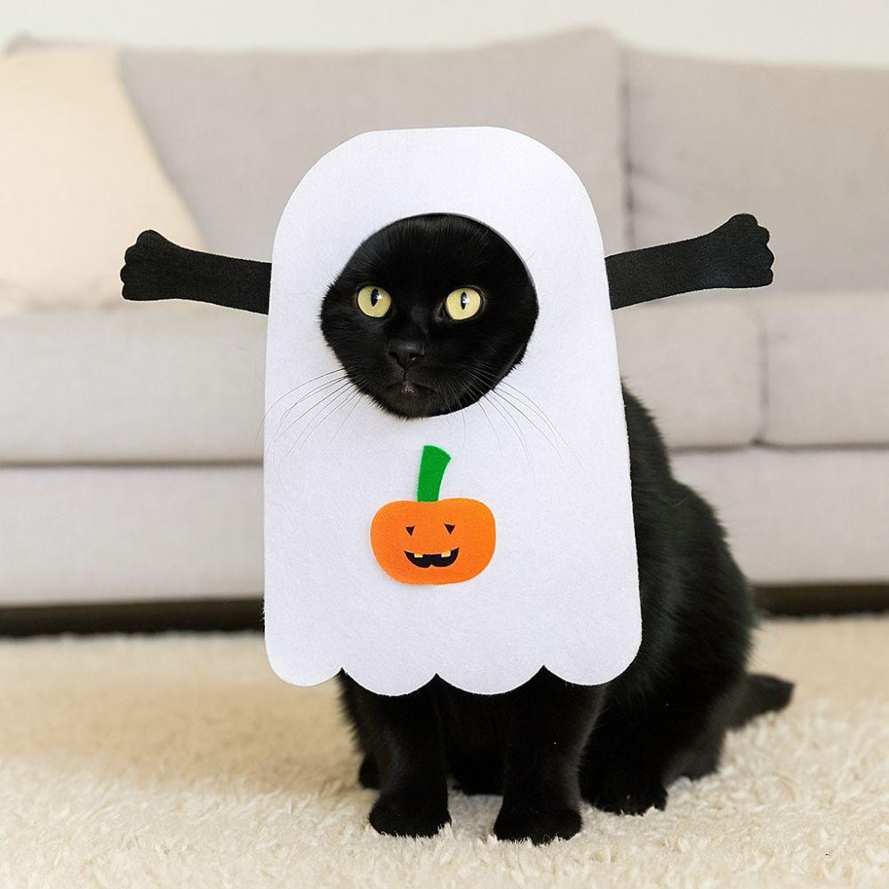 Funny Cartoon Halloween Pet Costume Pumpkin Spider Adjustable Pet Cosplay Clothes Felt Pet Dress Up Halloween Party