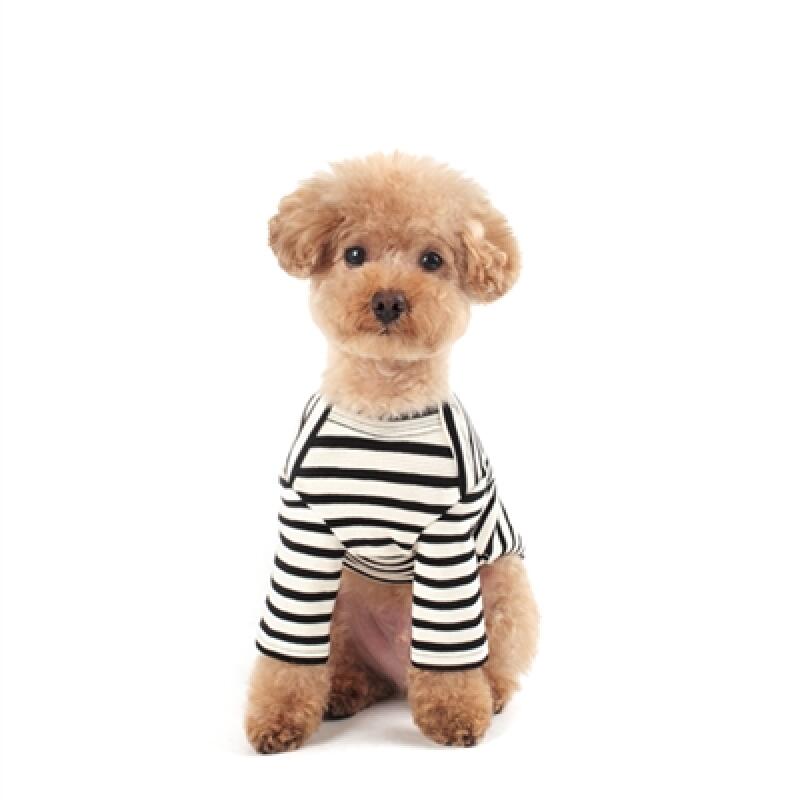 

Dangara T-shirt _White L