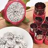 6/8/10/12 Pcs Vegetables Cutter Flower Animal Cartoon Shape Mold Fruit Cake Cookie Cutting Mold Kids Food Baking Styling Tools