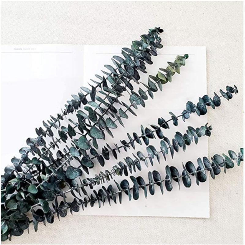 Eucalyptus Leaves Eucalyptus Leaves Home Decoration Ornaments Nordic Style Soft Decoration With Eucalyptus Leaves
