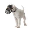 Cães – Produtos para treino de animais