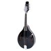 Mandolino 8?Strumento a Corda Nero con BorsaCordePannoAccordatorePlettriVitePannoNero