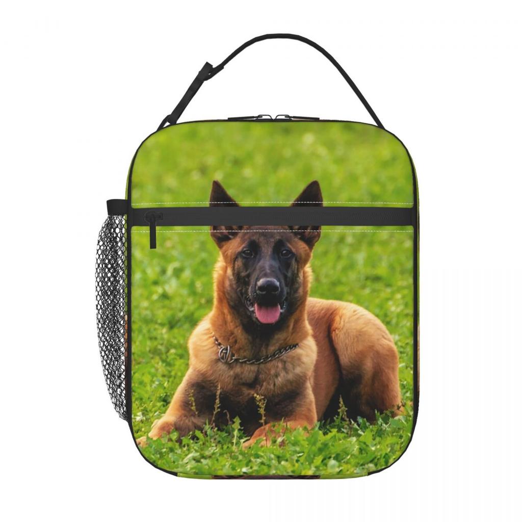 Belgian Shepherd Dog Malinois Insulated Lunch Bag for Women Children Portable Food Boxes Thermal Lunch Box Tote