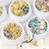 Dolphin Bay Nail Art: Shell Pieces, Rhinestones, Pearls, and Metal Chains Mixed Decorations