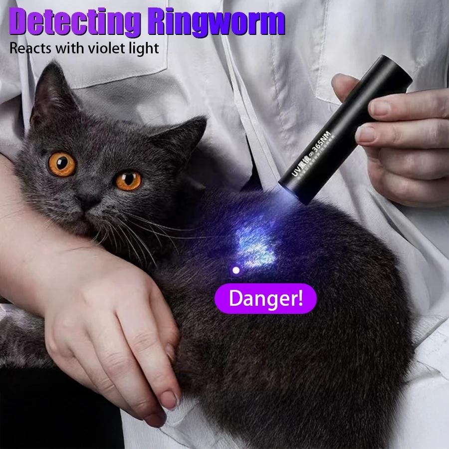 Mini Handheld Portable UV Flashlight 365nm Rechargeable - Pet Cat Urine/Ringworm Detection, Coin Appraisal, Fluorescent Testing