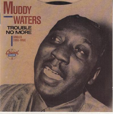 CD MUDDY WATERS - Trouble No More (Singles 1955-1959) CHLD19173 MCA Records Japan Blues Used