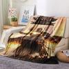 Path of Exile 2 Blanket, High Quality Comfortable for All Seasons, Home Decor, Warmth and Comfort