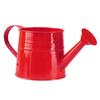 Watering Can Vintage Design Metal Equipment Decorative Sprinkling Can for Outdoor Plants Indoor Plants Patio Balcony Garden