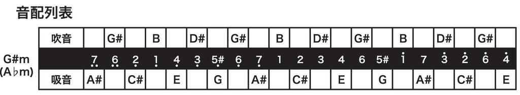 TOMBO Double Tone Harmonica Key Special Dragonfly Band 21 Holes 1521 G#m