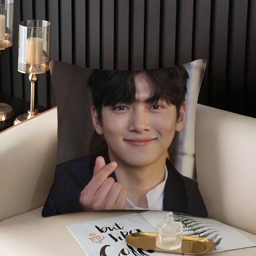 J-Ji C-Chang Wook Kissenbezug Zuhause Wohnheim Stuhllehne Kurzer Plüsch Doppelseitiger Druck Büro Nickerchen Zeit Kissenbezug