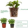 20Pcs Seeding Nursery Pot Black Red Plants Nursery Pots Seedling Cups Grow Box Planters Home Garden Potted Container