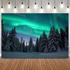 Aurora Theme Night Sky Photo Backdrop Winter Snow Mountain Forest Lake Polar Light Home Decor Photography Background14