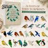 Educational Bird Collection for Science Enthusiasts Sea Glass Advent Calendars 2026 24 Days Christmas Countdown Calendar with Festive Box Surprises