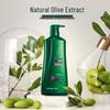 100 Years Hair Conditioner Moisturizing & Silky Smooth Shampoo
