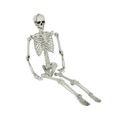 Poseable & Horror Human Skeleton Model for Halloween Easy To Assemble and Lightweight, for Various Project and Parties