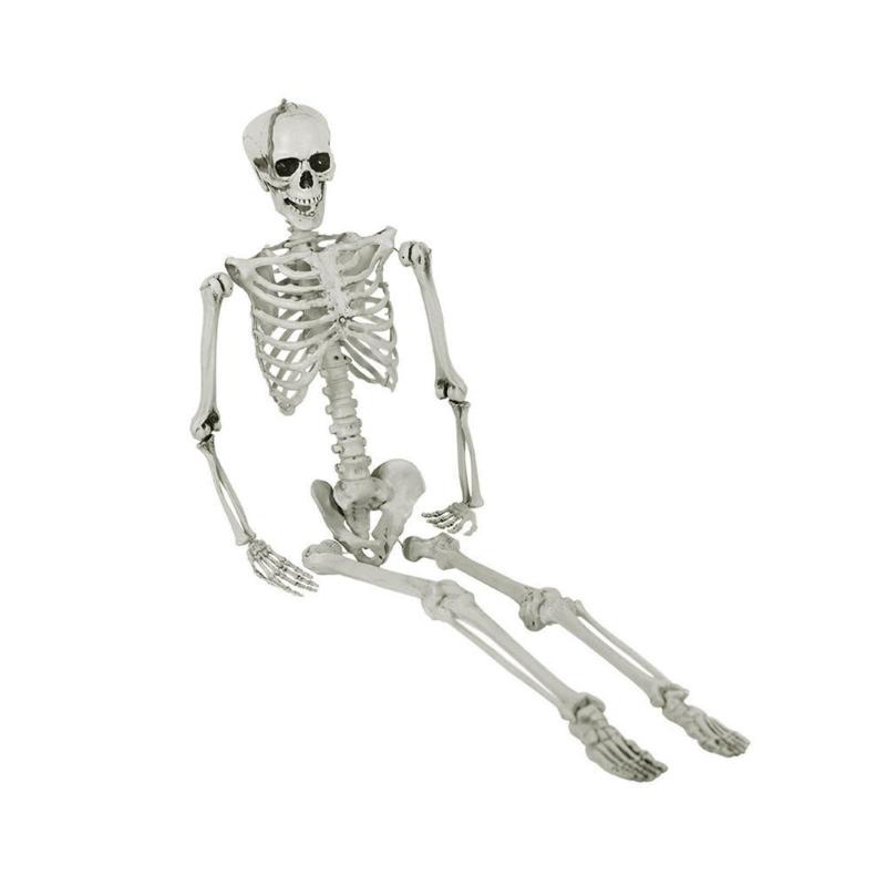 

Poseable & Horror Human Skeleton Model for Halloween Easy to Assemble and Lightweight, for Various Project and Parties 1