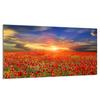 Glas-Kochfeld-Schutzplatte 90x52 Mohnblumen