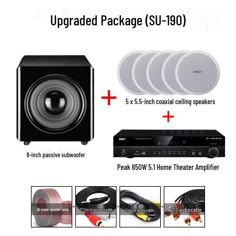 SAST Coaxial Ceiling/Wall-Mount Speaker (5.5-inch) (CN version)
