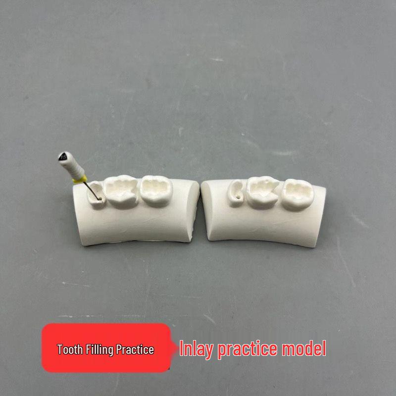 

Dental Filling Practice Model: Tooth Shape Plaster Block for Restoration and Inlay Training