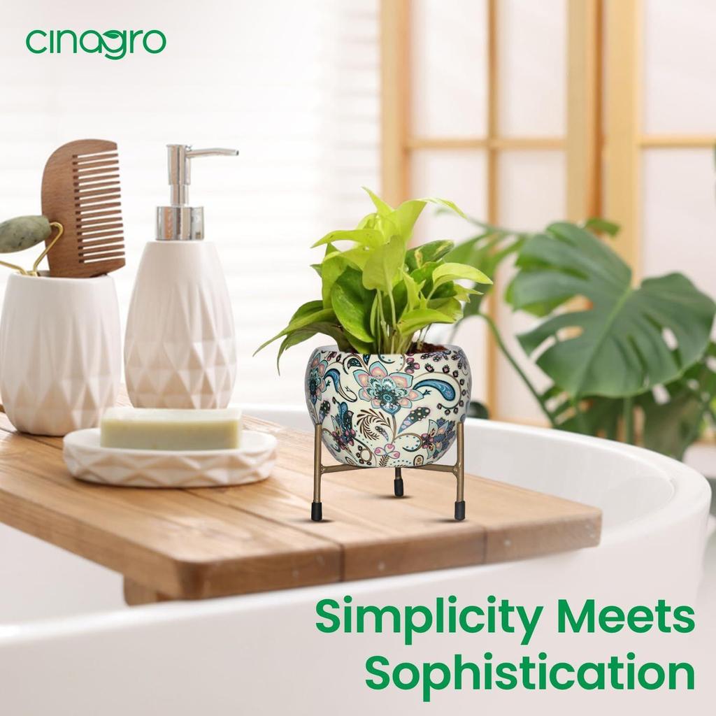 Pots for Plants, Plant Pots for Home Decoration, Succulent Pot, Indoor Planter Garden Decor Style: Sunlit Symphony