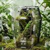 Acrylic Miniature Pet Terrarium For Jumping Spiders Hermits Mantis Practical Jumping Spiders Enclosure
