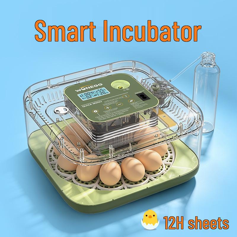 Smart Mini Egg Incubator for Parrots and Budgies: Automatic Pet Hatchery Equipment
