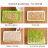 1 Set Of Seed Growth Trays For Germination, Hydroponic Soil-Free Seed Germinators, Including Trays For Peas, Mung Beans, , , And Grass (With Lid)