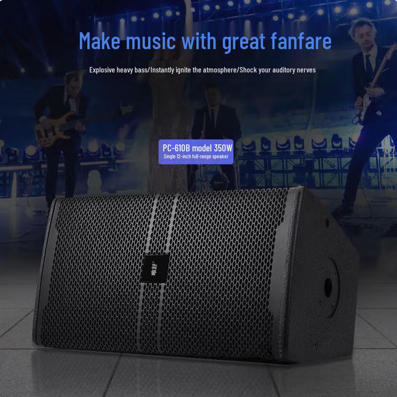 Weishu 10-inch Professional Passive Full-range Speaker