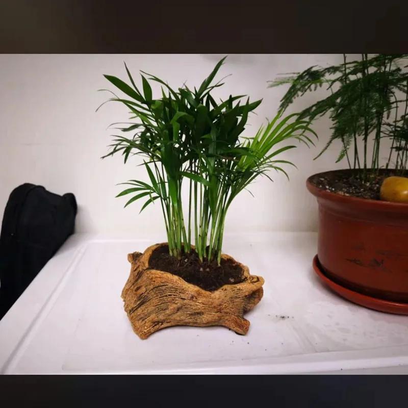 1PC Creative Retro Cement Imitation Tree Stump Root Carving Wood Succulent Flower Pot