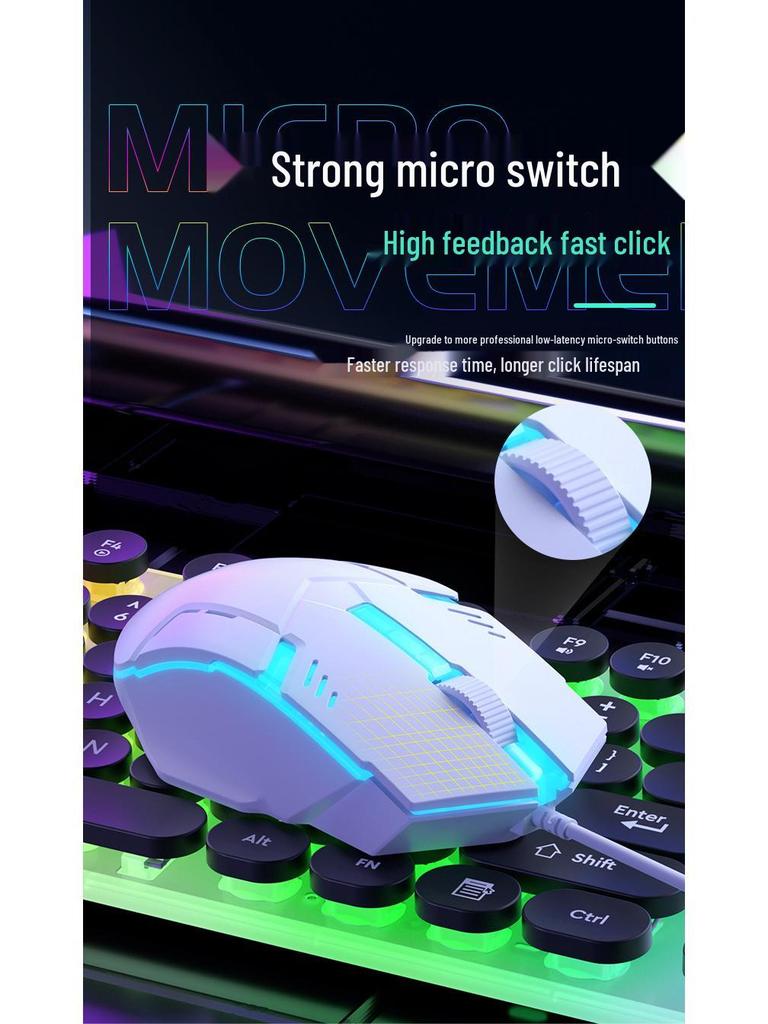 Luminous Punk Keycaps Wired Keyboard & Mouse Set for Gaming